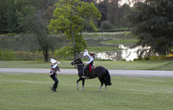 La Cueca a caballo