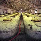 2º Premio Color: Tarragona