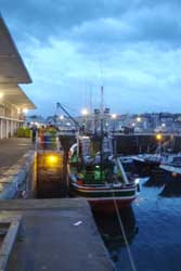 Lonja del pescado, San Sebastián