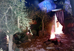 Interior de la sala con olivos naturales. Foto: Q.R.