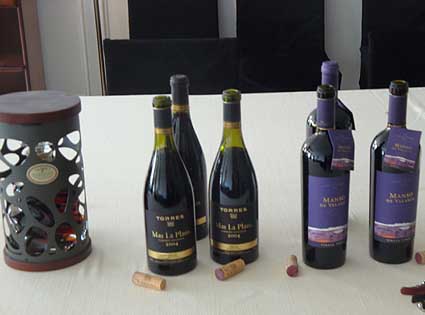 Mas la Plana y Manso de Velasco (Bodegas Torres)