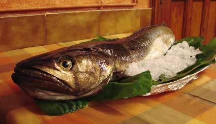 Merluza de 9 kg. adquirida por una sidrería asturiana