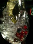 Gin Tonic con frutos rojos