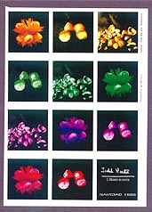 El obrador de cocina