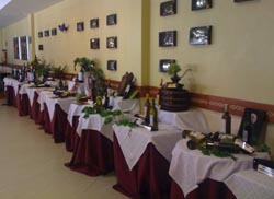 Exposición de vinos albariños