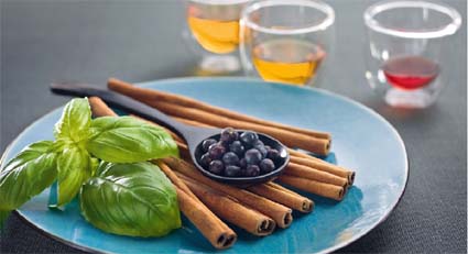 Aceites y condimentos Wiberg