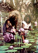 Marika y su abuela Ulpundu, recogiendo waterlilies