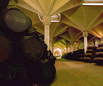 Bodega de Williams & Humbert