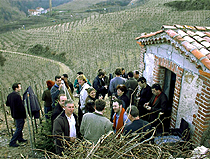 Merienda en las viñas durante el rallye