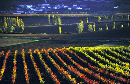 1er Premio en Color: Mirafuentes