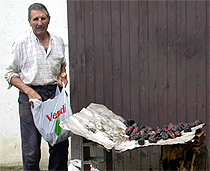 El Sr. Angel achicharrando los pimientos