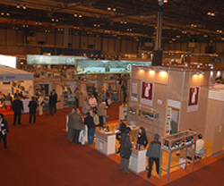 Aspecto de IFEMA durante iberWine