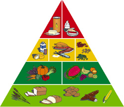 Pirámide nutricional