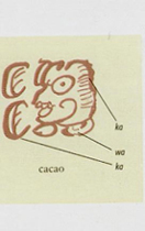 1. Signos de la escritura maya para designar al cacao