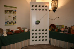 Acto de presentación de la guía