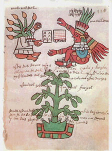 Manuscrito azteca