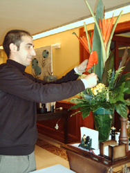 Alberto, de Francia Floristas