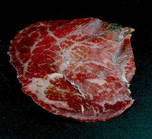 Caña de Wagyu