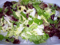 Refrescamos los brotes con hielo