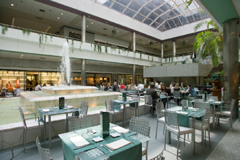 Panorámica desde la planta baja