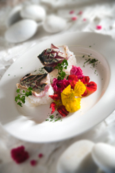 Arroz con caballa en vinagre de arroz