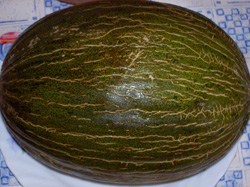 Melón piel de sapo