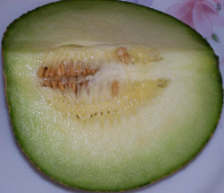 Melón galia