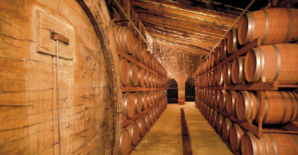 Sala de barricas. Bodega Ribas
