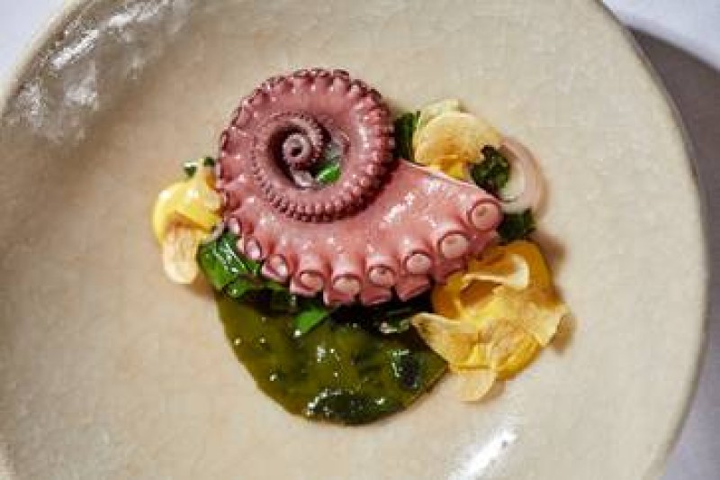 Receta de PULPO AL ESTILO ORIENTAL TESS DE MAR: - A Fuego Lento