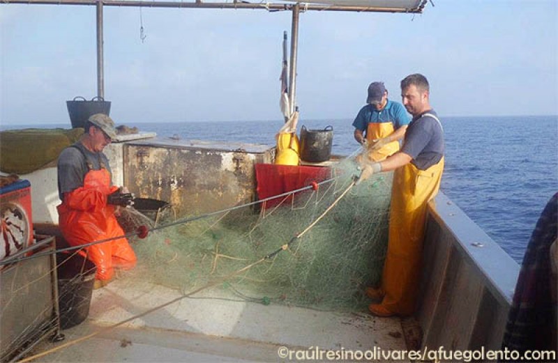 Un día de pesca de trasmallo de fondo, abordo del barco el Catalanet del  puerto de Vinarós en Castellón - A Fuego Lento