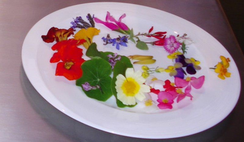 Conservar las flores comestibles