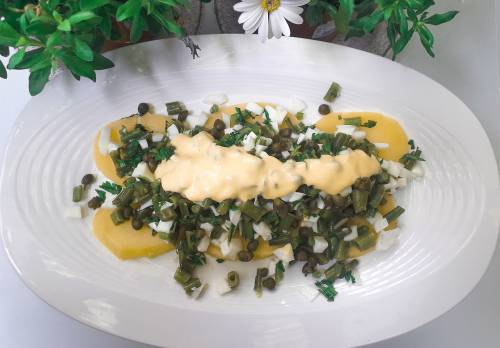 Afuegolento - Noticias y recetas de gastronomía