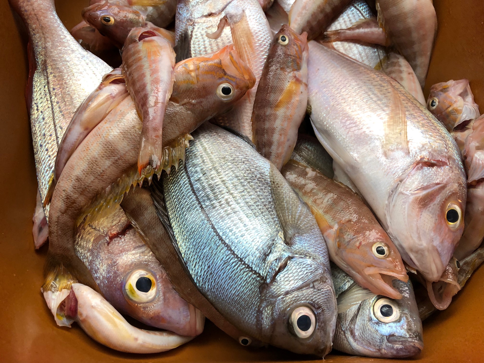 Quemar hará Endulzar Receta de PESCADO AL HORNO. - A Fuego Lento