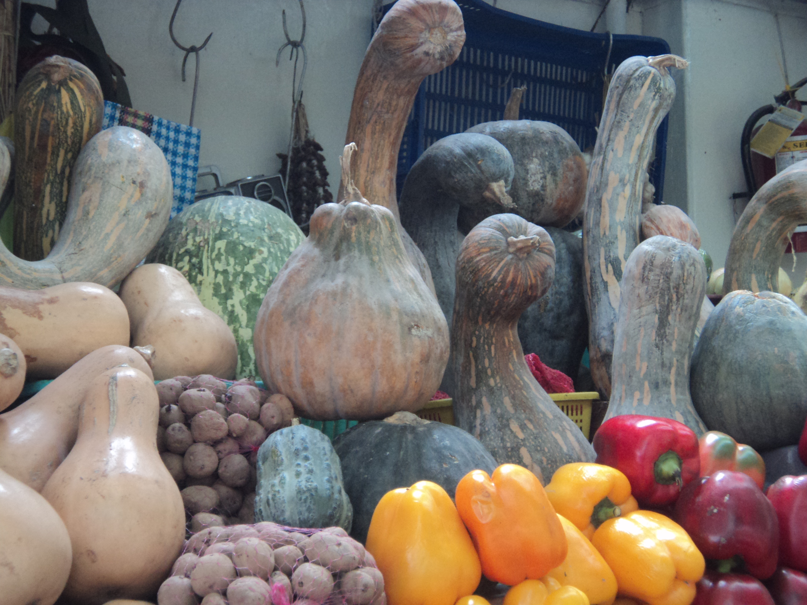 Zapallo Macre, Mercado central de Arequipa