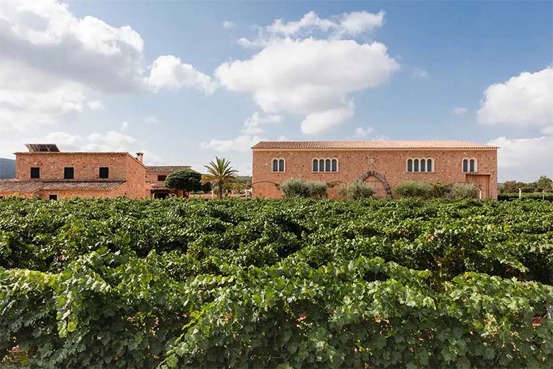 Bodegas Angel Santa Maria Mallorca Afuegolento