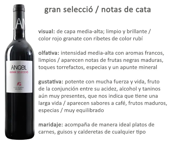 Vino Gran Seleccoó Bodegas Angel Mallorca Afuegolento