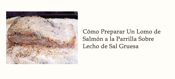 Enlace Tutorial Lomo Salmon Parrilla Sobre Lecho Sal Gruesa Afuegolento