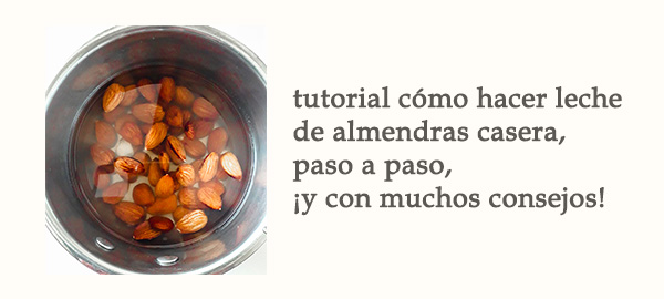 Rel Tutorial Leche Almendras Casera Paso a Paso Afuegolento