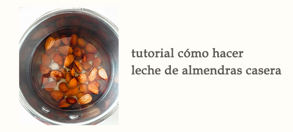 Rel Tutorial Como Hacer Leche Almendras Casera Vegana Afuegolento