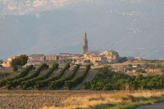 2 Vista panorámica Briones. La Rioja Turismo Afuegolento