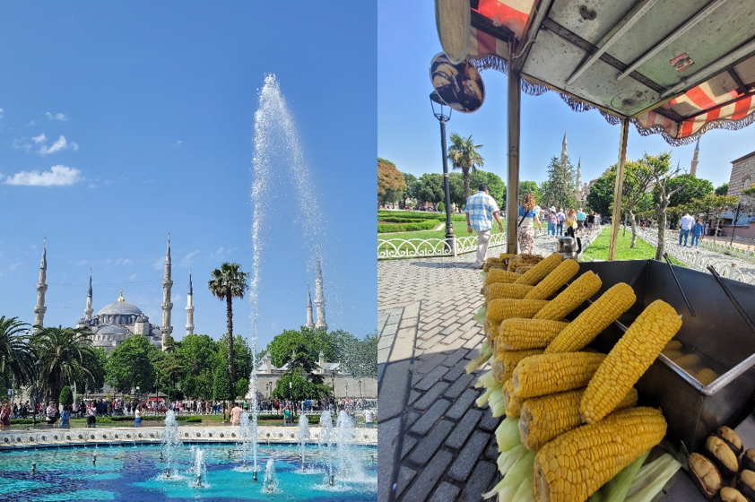 Sal de Viajes Mazorcas Maíz Santa Sofia Turquia Lali Ortega Afuegolento