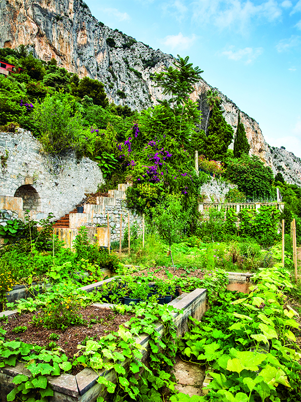 Libro El Jardin del Chef Afuegolento 1