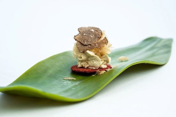 soria homenaje trufa negra restaurante los villares afuegolento