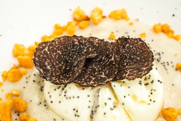 homenaje trufa negra soria restaurante los senderos del cid huevo trufado afuegolento