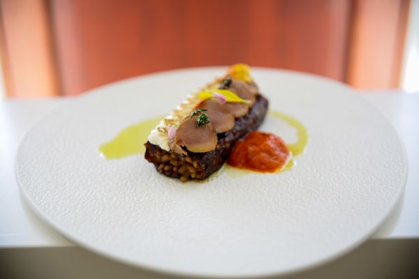 VENARI Formacion Cinegetica Arroz Costra Conejo ASICCAZA Afuegolento