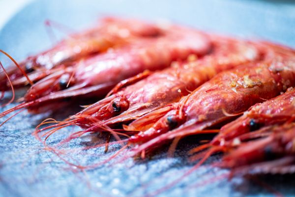 Restaurante Materia Prima Ana S Dieguez Afuegolento