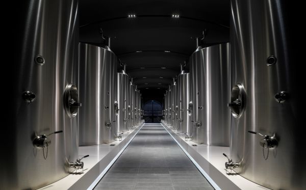 El Champagne Caracteristicas Historia Jesus Flores Tellez Afuegolento 4