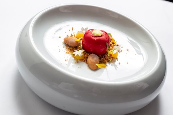 Pablo Izquierdo Ubeck Memorias de Mallorca 1er Premio Plato Dulce V Cocina Vegana Afuegolento