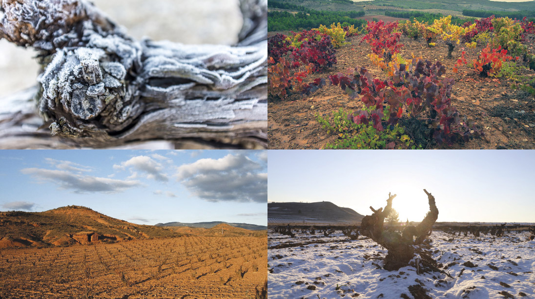 Encuentro Calaterra DO Calatayud Jesus Tellez Afuegolento 2