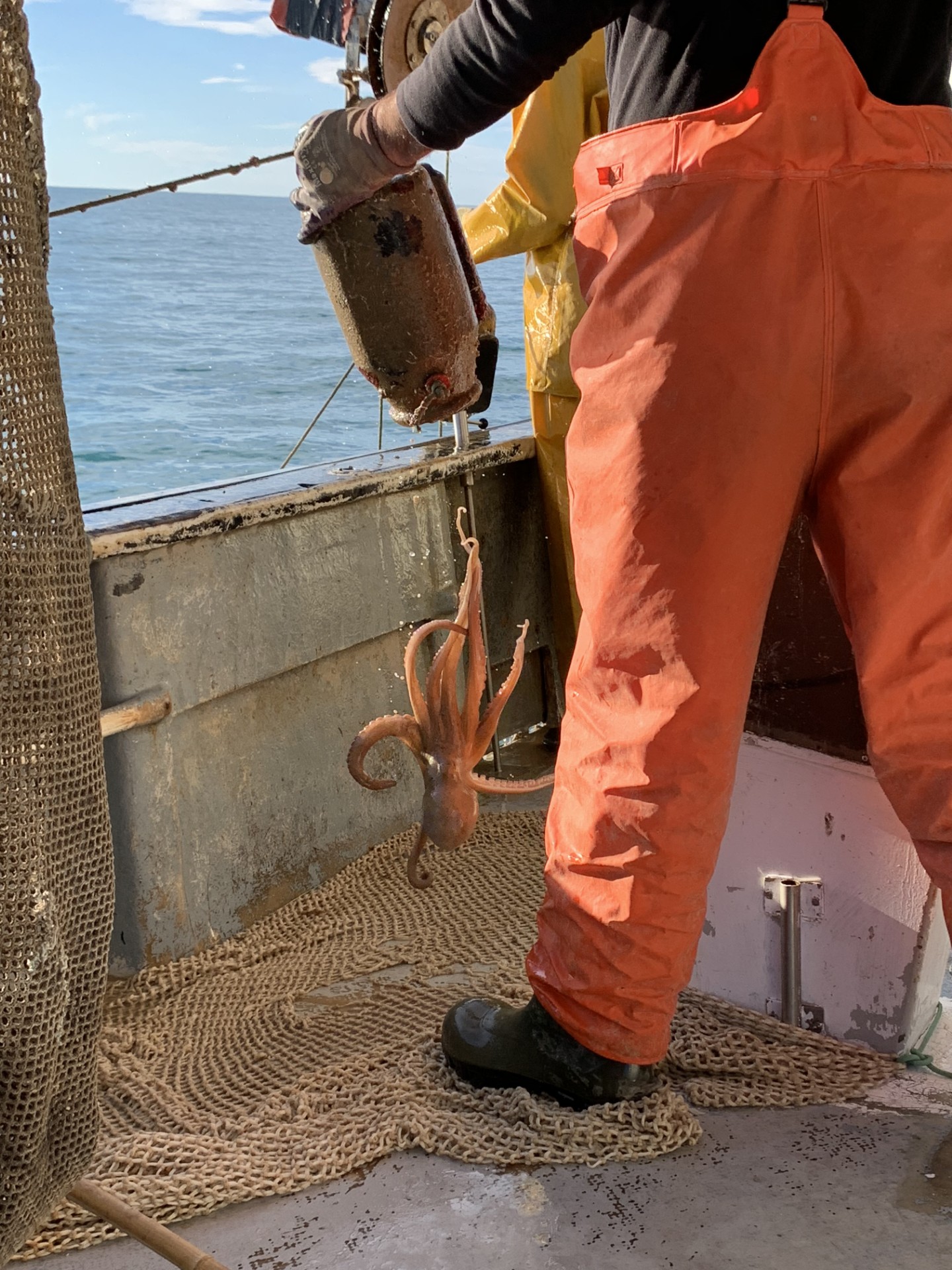 Raúl Resino Día de Pesca Benicarló Castellón Ruta Sabor Pesca Pulpo Caduf Afuegolento